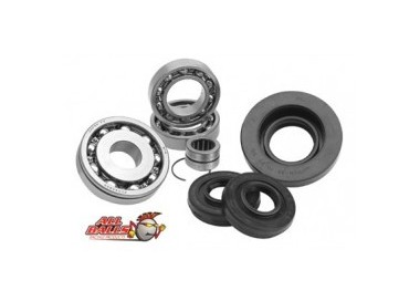 KIT RODAMIENTOS BUJE TRASERO LTZ 400-09