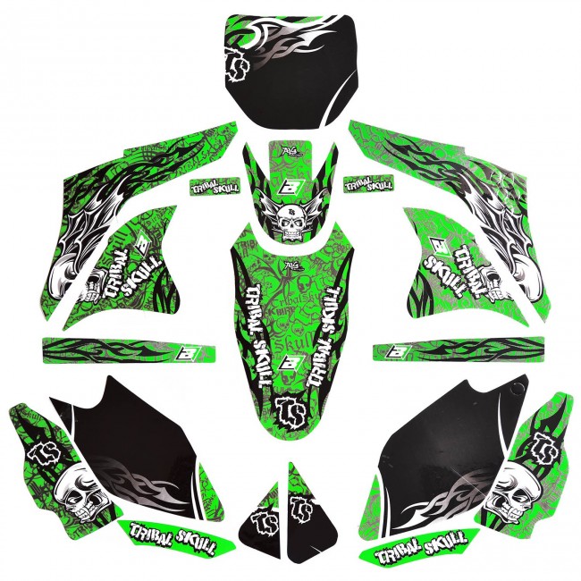 Kit Adhesivos tribal skull Kawasaki Blackbird Racing 2416B