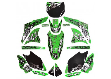 Kit Adhesivos tribal skull Kawasaki Blackbird Racing 2416B
