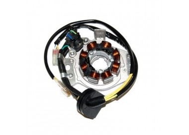 STATOR CR250R 02-07