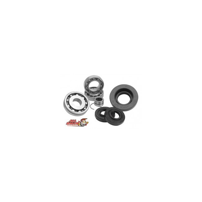 KIT RODAMIENTOS BUJE TRASERO GRIZZLY-660-03/06+700-08/10