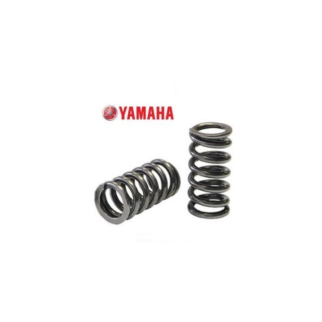 KIT MUELLES DE EMBRAGUE YAMAHA YZF 450 (07/13) 