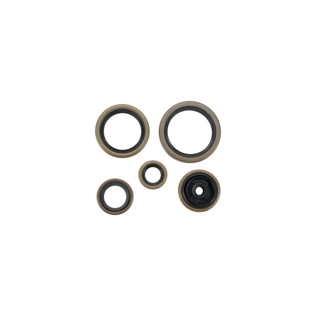 RETENES DE MOTOR HUSABERG TE 250/300   11/14