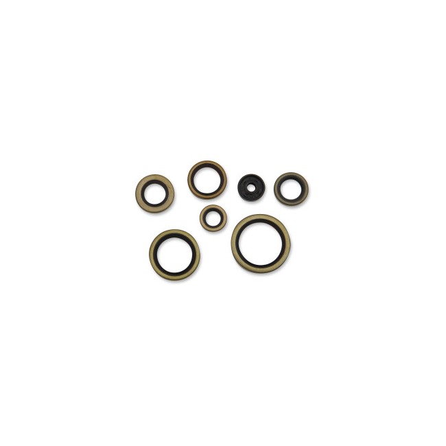 RETENES DE MOTOR KTM SX 250  17/20