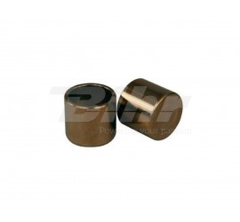 PISTON PARA PINZA 25MM