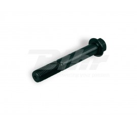 TORNILLO DE PINZA RADIAL 65MM