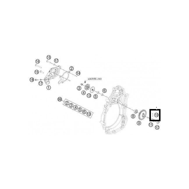 RODILLO DE AGUJA ORIGINAL KTM (REF 10) 3X21.8