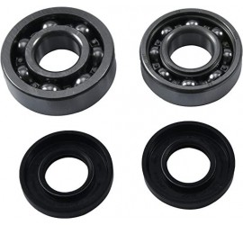 RODAMIENTOS DE CIGUEÑAL...