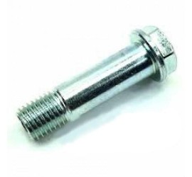 TORNILLO INFERIOR...