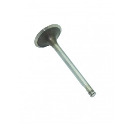 VALVULA DE ADMISION ORIGINAL TM FI 250 18