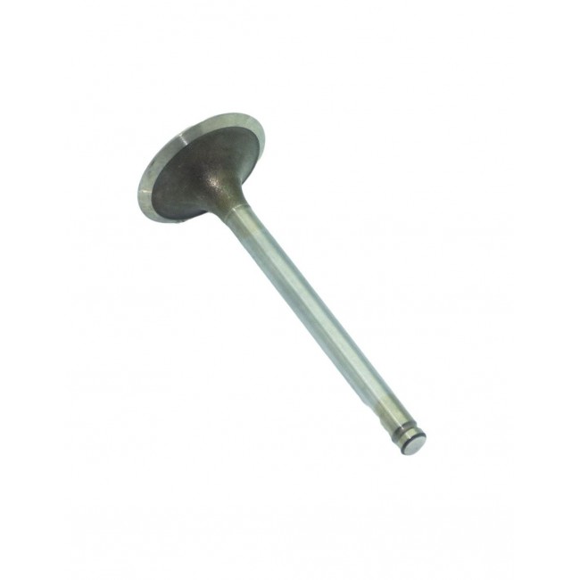 VALVULA DE ADMISION ORIGINAL TM FI 250 18