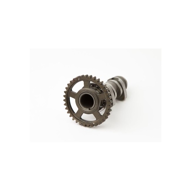 ARBOL DE LEVAS HOT CAMS CRF-450R-10/12