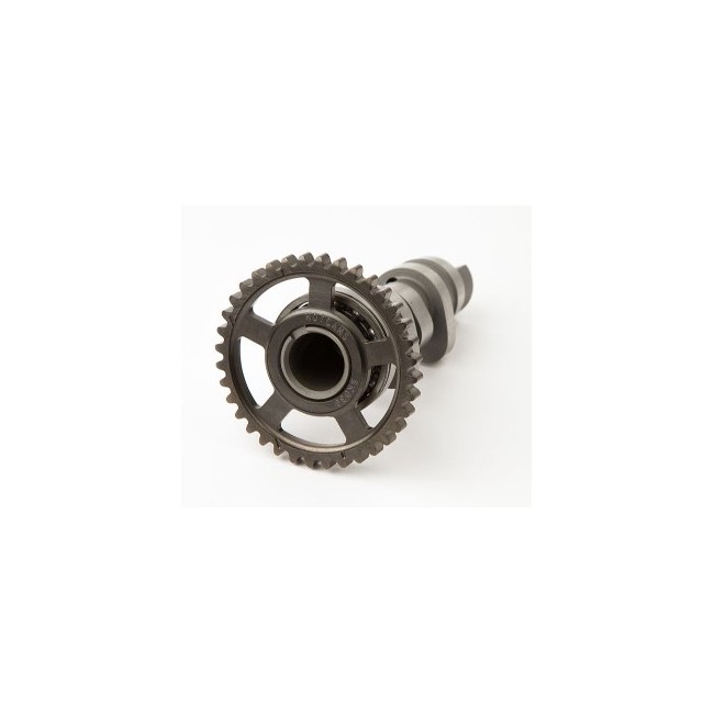 ARBOL DE LEVAS HOT CAMS CRF-250X-04/17