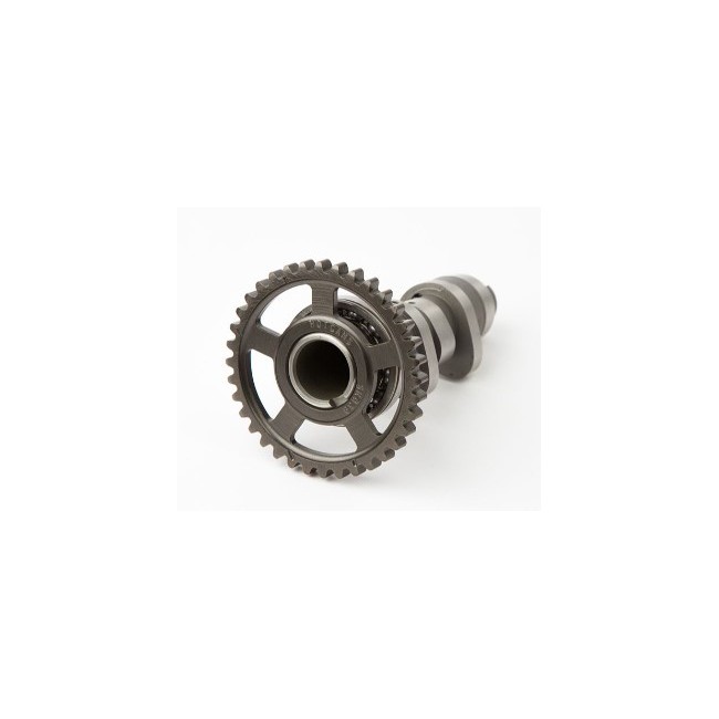 ARBOL DE LEVAS HOT CAMS CRF-250R-10/17