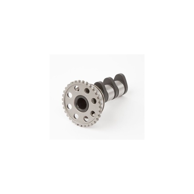 ARBOL DE LEVAS ADMISION HOT CAMS YZF 450-03/09