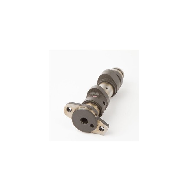 ARBOL DE LEVAS HOT CAMS RAPTOR 660-01/05