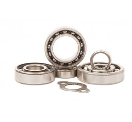 KIT RODAMIENTOS CAJA DE...