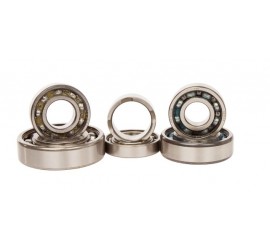 KIT RODAMIENTOS CAJA DE...