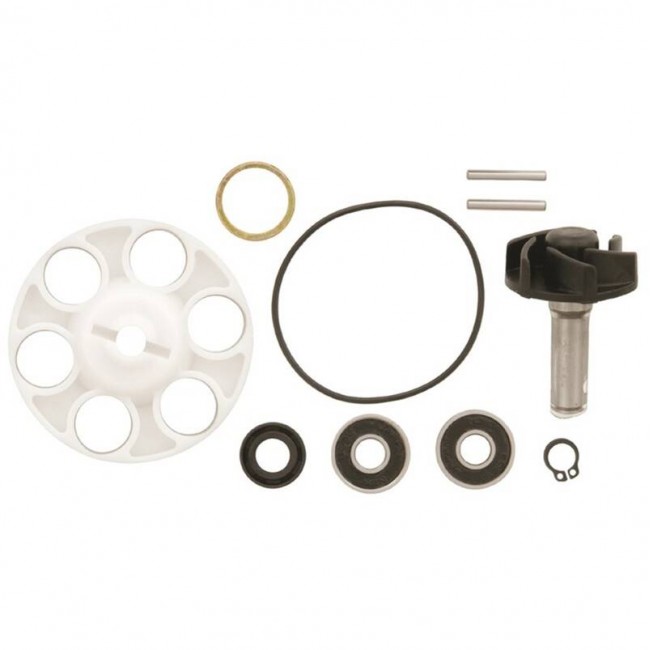 KIT REPARACIÓN BOMBA DE AGUA MINARELLI HORIZONTAL