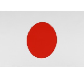 PLACA OVALADA UFO UNIVERSAL...