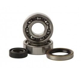 RODAMIENTOS DE CIGUEÑAL CON...