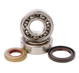 RODAMIENTOS DE CIGUEÑAL CON...