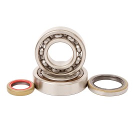 RODAMIENTOS DE CIGUEÑAL CON...