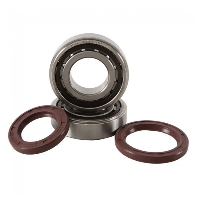 RODAMIENTOS DE CIGUEÑAL CON RETENES GAS GAS ECF/MCF  250/350  21/24