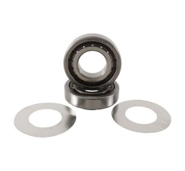 RODAMIENTOS DE CIGUEÑAL GAS...