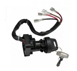 INTERRUPTOR DE ENCENDIDO...