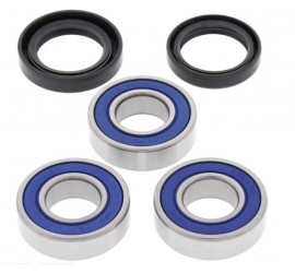 RODAMIENTOS DE RUEDA TRAS...