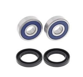 RODAMIENTOS DE RUEDA TRAS...