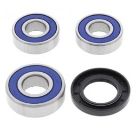 RODAMIENTOS DE RUEDA TRAS...