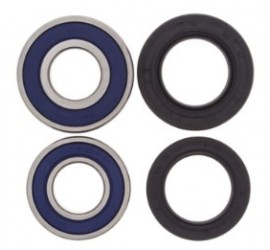 RODAMIENTOS DE RUEDA TRAS...