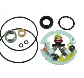 ESCOBILLA POLARIS (VARIOS...