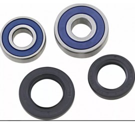 RODAMIENTO DE RUEDA TRASERA...