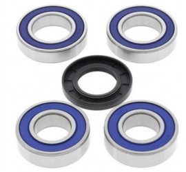 KIT DE REPARACION ALL BALLS...