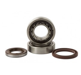 RODAMIENTOS DE CIGUEÑAL CON...