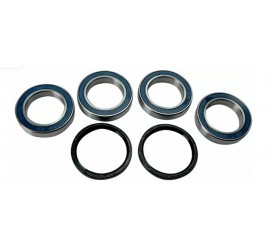 KIT RODAMIENTOS BUJE...