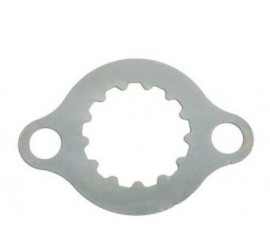 Chapa seguridad pinon...