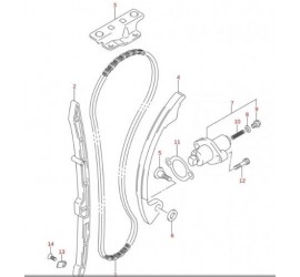 PATIN cadena distribucion...
