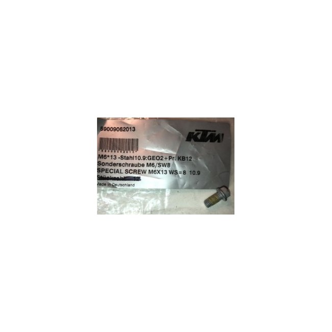 TORNILLO DE DISCO DELANTERO O TRASERO ORIGINALES  KTM M6X13 WS=8 10.9