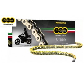 CADENA REGINA 428 EB-ORO...