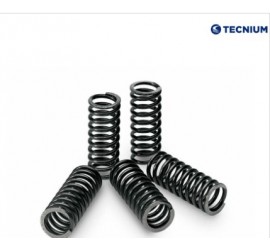 KIT DE MUELLES DE EMBRAGUE...