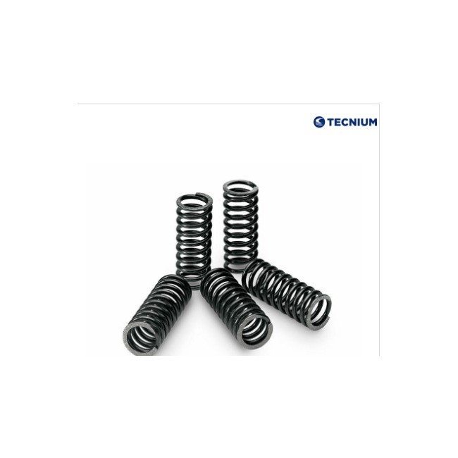 KIT MUELLES DE EMBRAGUE HUSABERG TE 125 (12-13)