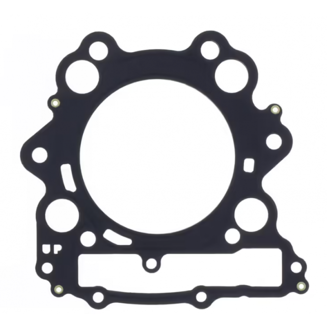 JUNTA CULATA ATHENA RAPTOR 660 01-05