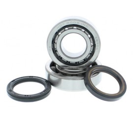 RODAMIENTOS DE CIGUEÑAL...