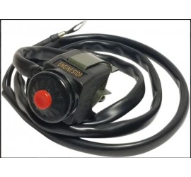 INTERRUPTOR DE PARE...