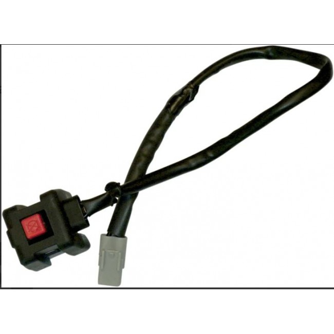 INTERRUPTOR DE PARE YAMAHA TTR230 11