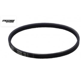 CORREA MOOSE RACING PARA...